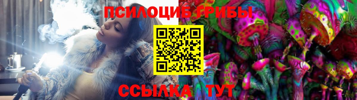 Шелехов  Галлюциногенные грибы прущие грибы  Вход с VPN 